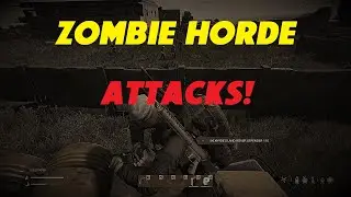Almost died to a ZOMBIE HORDE in DayZ 2022
