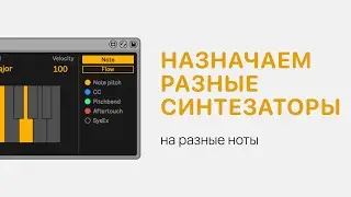 Как назначить разные синтезаторы на разные ноты в Ableton Live 11 [Ableton Pro Help]