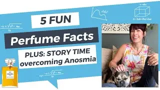 5 FUN PERFUME FACTS // STORY TIME: How I got my sense of smell back! #funfacts #frenchbulldog