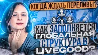 КАК ЗАПОЛНЯЕТСЯ ГЛОБАЛЬНАЯ СТРУКТУРА В LIVEGOOD?  КОГДА ЖДАТЬ ПЕРЕЛИВЫ?