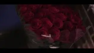 Предложение руки и сердца. 2017