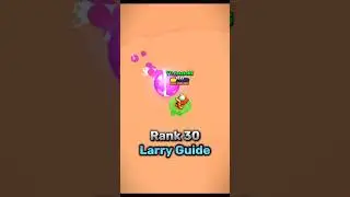 Rank 30 Larry Guide