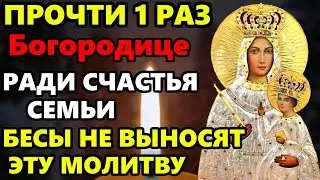 ПОМОЛИСЬ БОГОРОДИЦЕ РАДИ СЧАСТЬЯ СЕМЬИ! Бесы не выносят эту молитву от зла. Православие