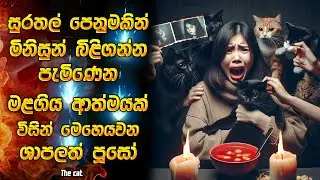 මේකනම් මිස් කරගන්න හොද නැතිම සුපිරි කොරියන් හොරර් මූවී එකක් | Horror movie review in Sinhala