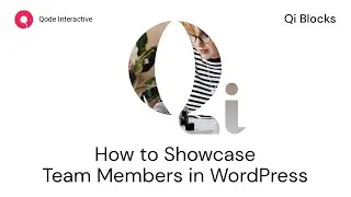 Display Your Team Using Qi Blocks for Gutenberg in WordPress