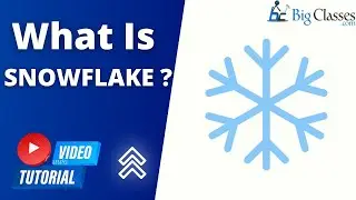 "Snowflake Data Warehouse: What It Is and How It Works - A Comprehensive Overview"