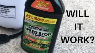 SPECTRACIDE crabgrass and nutsedge killer | Will it work???