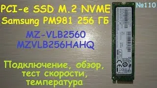 SSD 256 GB Samsung NVMe PM981 - MZ-VLB2560 MZVLB256HAHQ - test review TLC V-Nand Samsung 256 GB