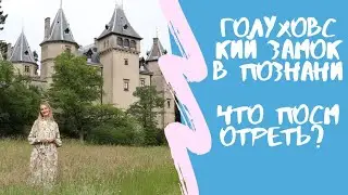 Голуховский замок в Познани. Глухая деревня в Польше Голухов. Есть ли на что посмотреть? Зубры.