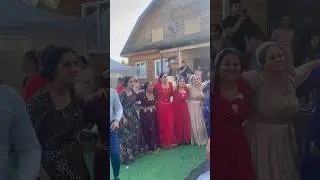 Бахтавар на Цыганской Свадьбе😱😱😱😱😱😱😱😱😱😱😱😱😱 #бахтавар #свадьба