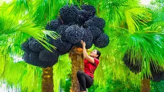 Single Women Harvesting Black Palm for Cooking And Go to Market Sell | An Phú Daily Life