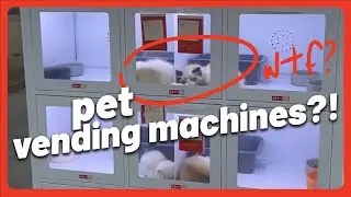 PET VENDING MACHINES In China?! What The... (The Feed)