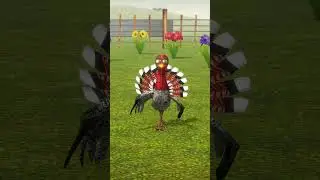 El Pavo bailando en la granja #Shorts