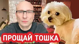 ПРОЩАЙ МОЙ МИЛЫЙ ТОШКА…💔