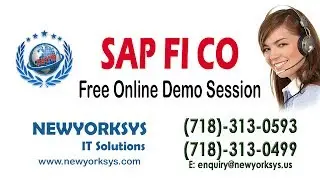 SAP FICO Overview - ONLINE TRAINING DEMO FULL HD