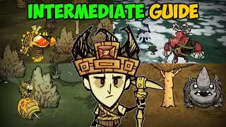 Ultimate Intermediate Survival Guide (ALL Seasons) Don't Starve Together