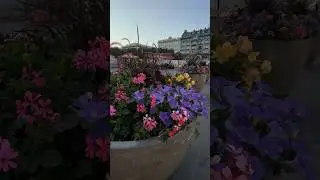 #петербург