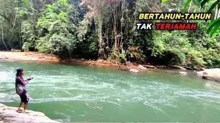 Spot ini baru di buka..!! ikan Mahseer pada keluaran bikin kalang kabut pemancing