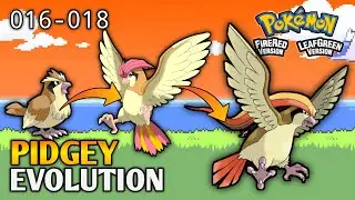 How To Evolve Pidgey Into Pidgeot In Pokemon Fire Red & Leaf Green | Kanto Pokedex