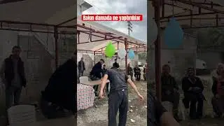 Damat bey ne yapıyor sizce? 