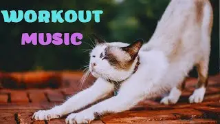 Музыка для энергичной разминки перед тренировкой workout mix