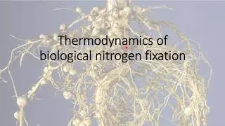 Nitrogen Topic 2 - Fixation Thermodynamics