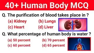 Human body Important question | 40+ Important Questions related to Human Body