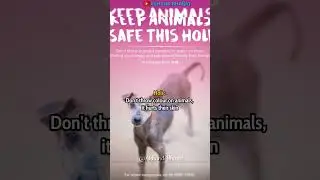 wait for the end | No Save Animals post on Eid?😐