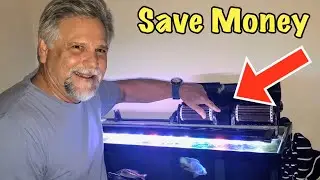 Top 5 Aquarium Filtration MONEY SAVING Tips & Tricks - Save Money Now!