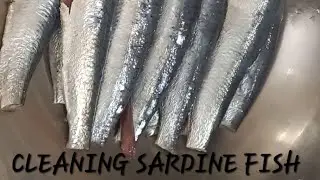 Easy way to clean Sardine Fish at Home/Chaala Meen epdi clean panalam/Method to clean Mathi Meen