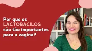 Por que os LACTOBACILOS são tão importantes pra vagina?