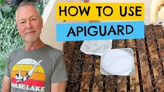 Beekeeping | How To Control Varroa Mites With Apiguard