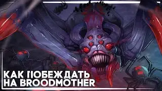КАК ПОБЕЖДАТЬ НА BROODMOTHER. ГАЙД ОТ 6К ИГРОКА.