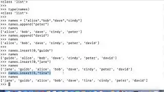 Python lists