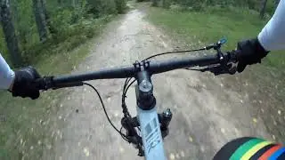 НА ГОРНОМ ВЕЛОСИПЕДЕ ПО КОРНЯМ. Titan Racing Cypher RS Dash. SRAM SX. POV. #mtb #mountainbike #bike