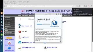 Using OWASP ZAP with Burp-Suite: Best of Both Worlds