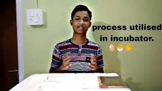 Mechanism of incubator 🤔?