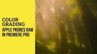 Color grading Apple ProRes RAW format in Premiere Pro