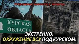 Шок! Крупная группировка ВСУ окружена под Курском — фронт на грани краха?