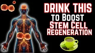 Top 5 Drinks to Boost Stem Cell Regeneration