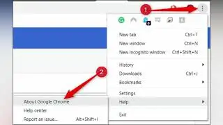 How to Update Google Chrome| Latest Version