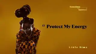 Little Simz - Protect My Energy (Official Audio)