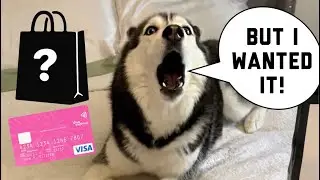 Meeka Went On A SHOPPING SPREE With Our Credit Card!😱🤣 (SUBTITLES!)