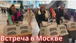 Вывозим собак из Якутска Часть первая