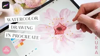 Watercolor Procreate Brushes / Drawing Sakura Flower