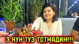 ҚОРНИ ТЎҚНИ ҚОРНИ ОЧ БИЛАН НИМА ИШИ БОР КУРАШАМАН!!!