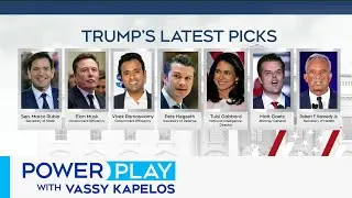 Here's the latest names added to Donald Trump's cabinet | Power Play with Vassy Kapelos