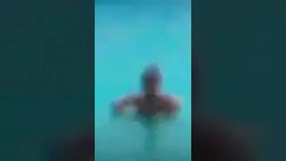 Слив Вали Карнавал ,karna.val ,сливы
