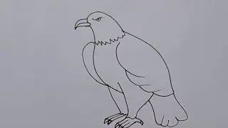 how to draw eagle drawing || easy step for beginners