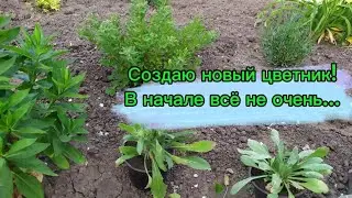 Создаю цветник. Купила новые растения. 31.05.2024г